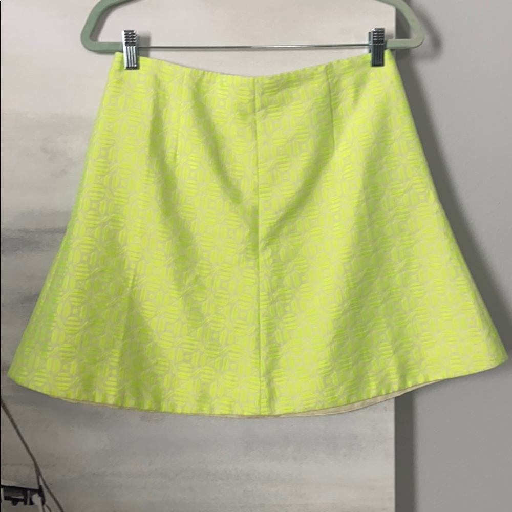 J.Crew Skirt